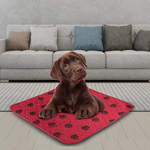 Tixiyu Wiederverwendbare wasserdichte Hunde-PIPI-Pad-Urinmatte für Hunde und Katzen (80 * 90cm) von Tixiyu