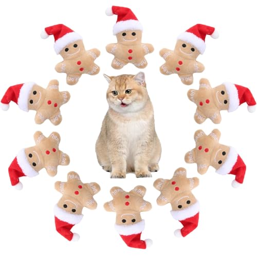 10 Stück Lebkuchen Katzenspielzeug - Katze Beißspielzeug Weihnachten Lebkuchenmann Plüschtier Für Innen Und Außen-Katzen | Tragbares Katzenminze-Spielzeug Für Katzen | Weihnachtliches Katzen-Beißspiel von Tktouci