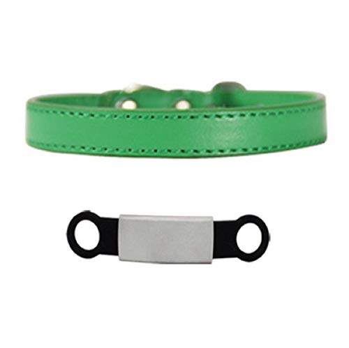 Personalisierte ID Gravur Hundehalsband Sicherheit Breakaway Kleiner Hund Cute Pu Einstellbar für Welpen Kätzchen Halskette-Splitter_Grün_S von Tlwrnop