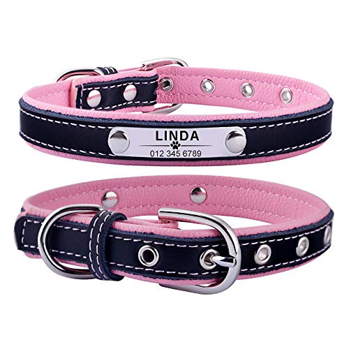 Tlwrnop Langlebig verstellbar personalisiert Hundehalsband Leder Welpe ID Name Benutzerdefiniert Graviert für kleine mittelgroße Hunde Katze 4 Größe XS-L-Pink_S__ von Tlwrnop