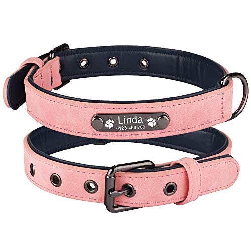 Tlwrnop Personalisierte Hundehalsbänder aus Leder Hundehalsband mit ID-Tags Einstellbare Größe für große mittelgroße kleine Hundewelpen-Pink_L__ von Tlwrnop