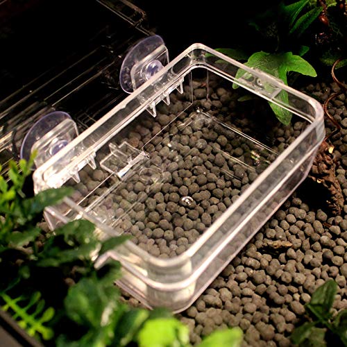 Nicht-toxische Wurm Reptilienbecken Anti-Escape-Feeder, Glattes Rundes Design für Sub-Erwachsene und Insektenbeobachtung Nicht-toxische Wurm Reptilienbecken Anti-Escape-Feeder, Glattes Rundes Design für Sub-Erwachsene und Insektenbeobachtung von Tnfeeon