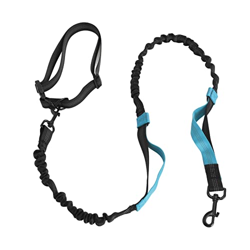 Slip Dog Leash Heavy Duty Bungee Dog Stoßdämpfendes Elastisches Hundeleinenseil mit 2 Gepolsterten Griffen für Große Hunde Walking Training Loop Leinen für Hunde (Blau) von Tnfeeon