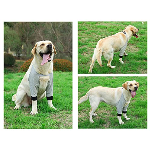 Tnfeeon Hunde-Ellbogenschutzgelenk Pet Knie Matdog Knie Matdog Beinbandage Haustier Hund Gelenk Warme Schutzabdeckung Hund Ellenbogenschutz Gelenk (L) von Tnfeeon