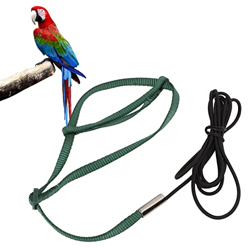 Tnfeeon Vogelgeschirr Leine Elastisches Seil Flugseil Einstellbares Elastisches Flugtraining Vögel Zugseil für Nymphensittich Lovebird von Tnfeeon