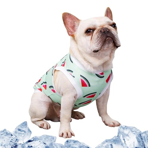 TocaFeank Kühlweste für Haustiere, Kühlweste für Hunde | Obst Bedruckte Welpen-T-Shirts, Hunde-Shirts,Sofortige Kühlung, Hundekleidungsshirt für den Sommer, Haustierkleidung für französische von TocaFeank