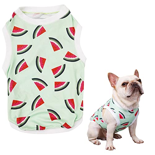 TocaFeank Kühlweste für Haustiere, Kühlweste für Hunde - Welpen-T-Shirts mit Obstdruck, weich und atmungsaktiv | Sommerkleidung für Hunde, kühlende Hundeweste, sofortige Kühlung für französische von TocaFeank