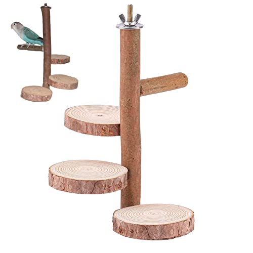 Toddlers 2 Pcs Vogelstange Standspielzeug - Langlebiger Vogelkäfig, stehende Sitzstangen für Papageien, Sittiche, Vögel, Unzertrennliche, Finken | Vogelstange, Holzständer, mittelgroßer von Toddlers