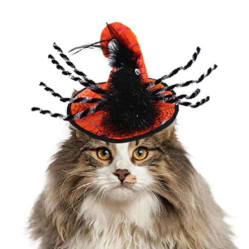 Toddlers Katzen-Halloween-,Welpen-Katzen-Halloween-Kleidungs-Outfits | Haustier Festival Kostüme Spinne Kopfbedeckung Dekore für Kätzchen Hunde, Halloween Haustier Cosplay Halloween Party Dekoration von Toddlers