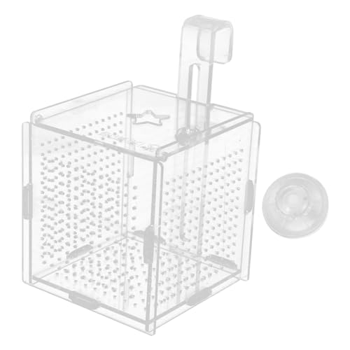 Toddmomy 1 Satz Betta-Box Tauchfähig Netz Abteil Pumpe Für Schlauchboote Panzer Kleines Aquarium Aquariumheizung Saugnapfhaken Großes Aquarium Pakete Vakuum Kühler Filter Transparent Acryl von Toddmomy