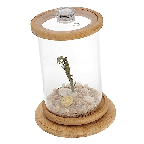 Toddmomy 1 Satz Desktop Micro View Aquarium Terrarium Desktop-Aquarium-Kit Desktop-Dekoration künstliche Sukkulente bürodekorationen Night Light kunstpflanze Fischaquarium Fischglas Green von Toddmomy