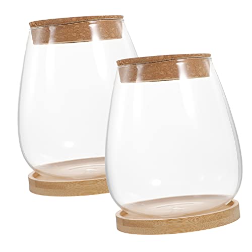 Toddmomy 1 Satz Mikrolandschaftsblume innerspace büroradio Vase für Desktop Terrarium nebler ziernieten Moos Landschaft Container Pflanzenbehälter selber Machen Landschaftsbehälter Bambus von Toddmomy