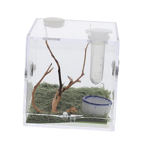 Toddmomy 1 Satz Springspinnen-zuchtbox Geckos-käfig Springspinnen-varium Spinnen Terrarien Aquariumbecken Miniaturbausätze Mini-luftbefeuchter Set Für Schneckenterrarium Mini-frösche Acryl von Toddmomy