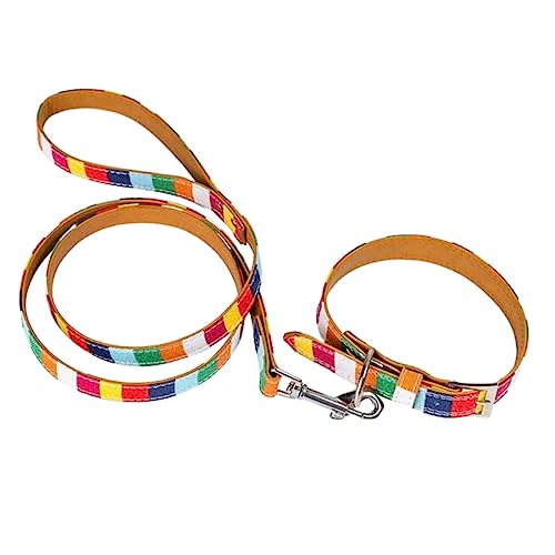 Toddmomy 1 Set Schnauzer Halsband Leine Heimtierbedarf Haustierhalsband Haustierleine Gurt Hundezugseil Hundeleinengürtel von Toddmomy