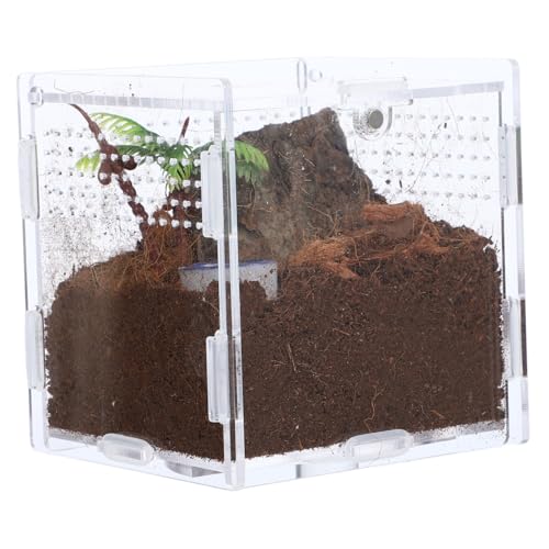 Toddmomy 1 Set Springspinnen Aufzuchtbox Spinnen Terrarium Aufzuchtbehälter Insekten Habitat Hülle Futterhülle Reptilien Hülle Insekten Habitat Käfig Transparent Springspinne Käfig von Toddmomy