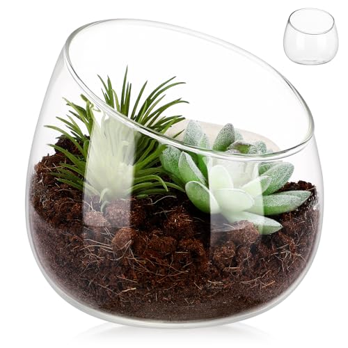 Toddmomy 1 Stück Glas-Terrarium-Glas Terrarium-Behälter Glas Sukkulenten- -Pflanzenvase Für Heimdekoration von Toddmomy