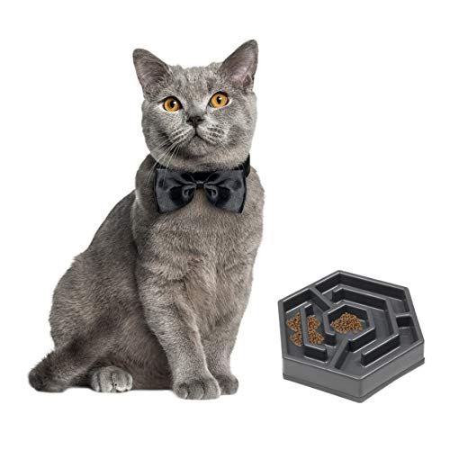 Toddmomy 1Stk Futternapf für Katzen pet Supplies hundekot cat Bowls Katzennapf Hundehaufen Fütterung Spender für Wassernapf für Hunde kreativer Futternapf für Haustiere Katzenfutter Grey von Toddmomy