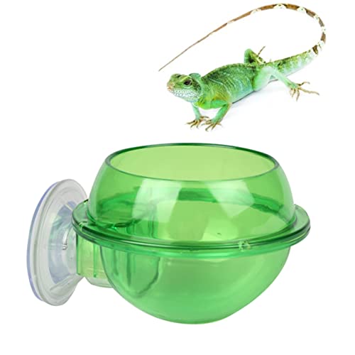 Toddmomy Reptil Terrarium Futternapf Tasse Futternapf Für Haustiere Wasser- Und Futternapf Abs von Toddmomy