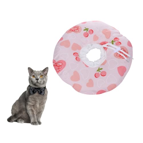 Toddmomy 1stk Haustier Katze Elizabeth Circle Katzendekor Hund Katzenhalskegel Katzenzubehör Katzentransporter Katzenhalsband Welpenhalsband Kratzbaum Für Katzen Katzenhalsbänder Rosa von Toddmomy