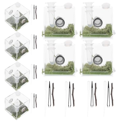 Toddmomy 2 Sets Kleine Spinnengehege Springspinnengehege Mini-Terrarium Springspinne Mikro-Spinnenkäfig von Toddmomy