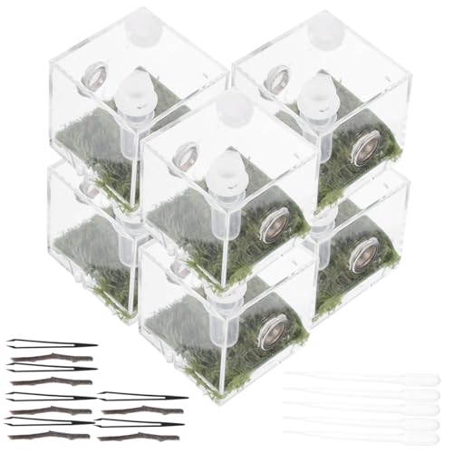 Toddmomy 2 Sets Springspinne Zuchtbox Reptilienzubehör Fische Insekten Geisterspinne Haustiergehege Spinne Terrarium Set Puzzle Schmetterlingsnetz Käfig Schildkröte von Toddmomy