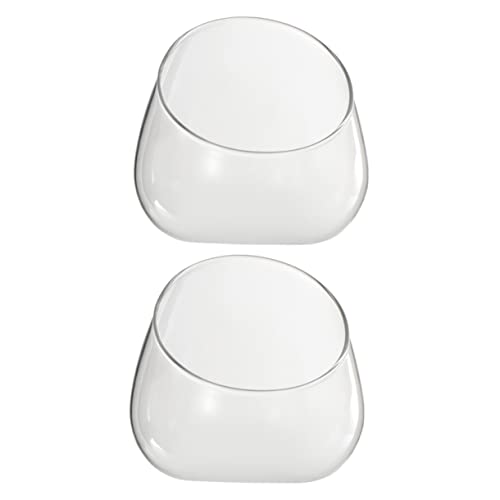 Toddmomy 2 Stück Eco-Flasche Terrarienglas groß Mikrolandschaftsflasche -Terrarium Terrariumvase Pflanzen Klare dekorative Behälter Terrariumbehälter Glas mit hohem Borosilikatgehalt Toddmomy 2 Stück Eco-Flasche Terrarienglas groß Mikrolandschaftsflasche -Terrarium Terrariumvase Pflanzen Klare dekorative Behälter Terrariumbehälter Glas mit hohem Borosilikatgehalt von Toddmomy