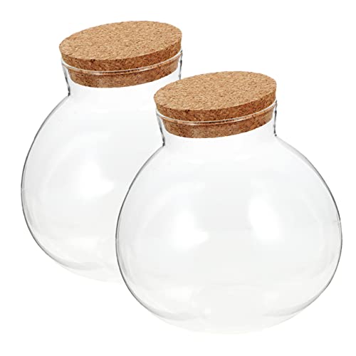 Toddmomy Mikrolandschafts-Flaschen-Set Moospflanzen-Terrarium Aus Glas Landschaftsflasche 13 cm Durchmesser Für Die Inneneinrichtung von Toddmomy