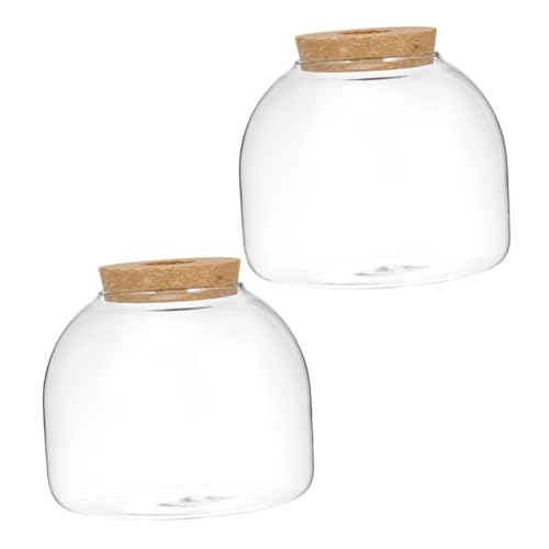 Toddmomy 2St Ökologische Mikrolandschaftsflasche Terrarium pflanzentopf kleines Terrarium Terrarienglas Pflanzenterrarium hochzeitsdeko hohzeitdeko leeres Glas ökologische Flasche Holz von Toddmomy