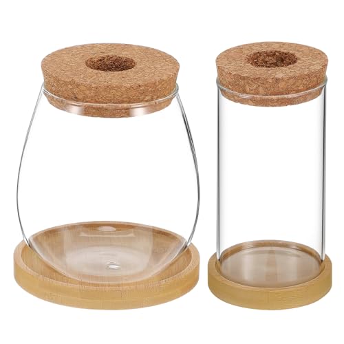 Toddmomy 2St hydroponische Pflanzenvase Trinkmatte saftig Kabelklemmen Liner glasgarten wasserpflanzen Pflanzgefäße aus Glas für Zimmerpflanzen Pflanzenterrarium mit Holzständer Transparent von Toddmomy