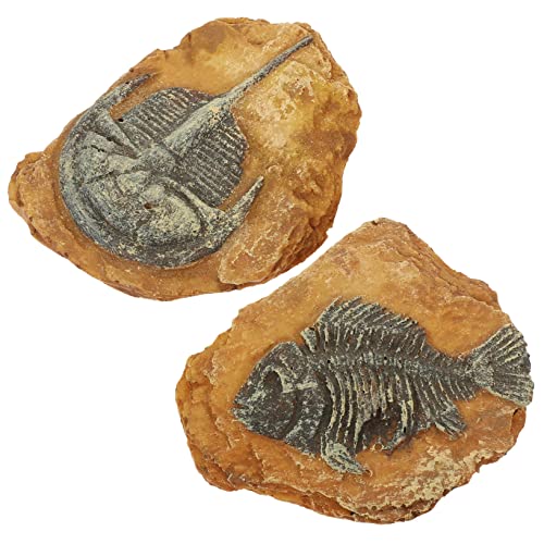 Toddmomy 2er-Box Simuliertes Harzfossil Gecko Trilobit Reptil Bausatz Haustier Aquariumdekorationen Schildkröte Schlange Bärtiger Drache Lebensraum DIY-Landschaft von Toddmomy