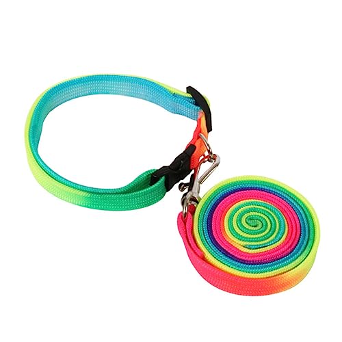 Toddmomy 2st Leine Bündeln Abs Züchten Dackel Hund Fliehen Ketten Für Draußen Auto Seile Kabel Träger Bausatz Geschirrweste Haustier Stock Colorful Nylon von Toddmomy