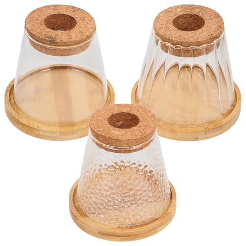 Toddmomy 3 Sätze Hydro ponische Pflanzen Flasche Klare Ornamente zum Basteln befüllbar Pflanzenvermehrungsröhren kleine glasvase Wasseranbau Pflanzenflasche Pflanzenterrarium Terrarienglas von Toddmomy