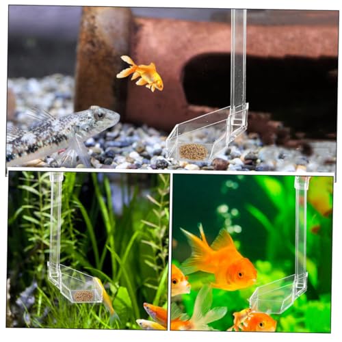 3st Futterspender Für Aquarien Aquarienbedarf Tankrohrschutz Garnelen-fütterungsschlauch Und Schale Betta-Fisch-Urlaubs-Feeder Feederrohr Acryl Aquarium Futterrohr von Toddmomy