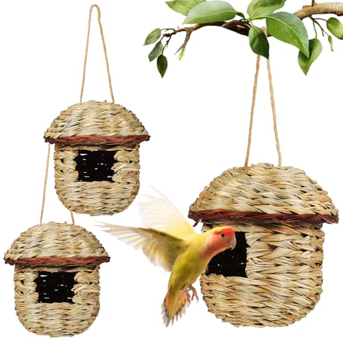 Toddmomy 3St Vogelnest Papageienhaus Vogelhaus für den Garten Papageienkolibri Vogelbrunnen Blauer Kolibri Taubenhaus hängendes Kolibri-Nest hängende Vogelhütte Strohmaisschalen Light Green von Toddmomy