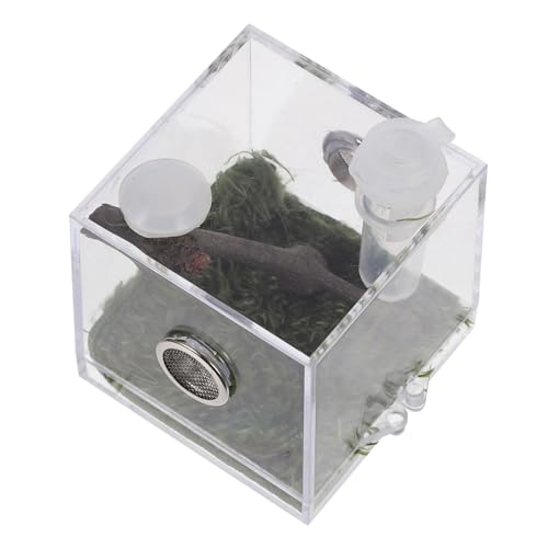 Toddmomy 3er-Box Springspinnen-zuchtbox Heimtierbedarf Mini-luftbefeuchter Klarer Behälter Schneckenbecken Springspinnen-Terrarium Reptilienterrarium Reptilienhalter Lebensraum Fall Acryl von Toddmomy