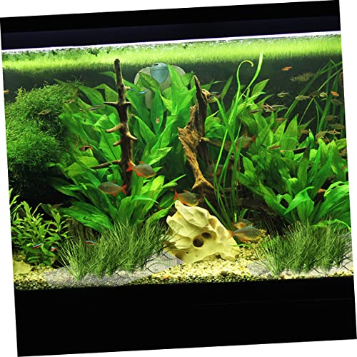 Toddmomy 6st Aquatisches Netz Biegbares Netz Haushalt Maschendraht Aquariumnetz Stabiles Moosnetz Aquariumreiniger Filterreiniger Zubehör Für Aquarienfilter Mesh-pad Silver Rostfreier Stahl von Toddmomy