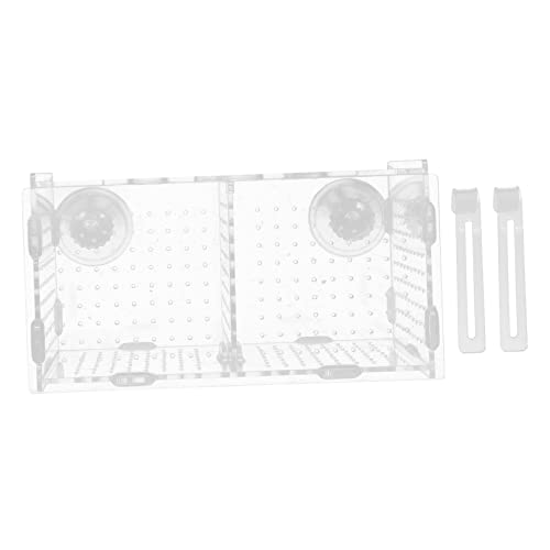 Toddmomy Acrylic Aquarium Isolation Box Für Fische Fische Zuchtbehälter Mit 2 Saugnäpfen Und 2 Haken Ideales Zucht Set Für Aquarien Und Betta Fische von Toddmomy