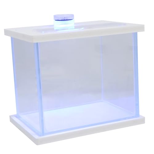 Toddmomy Aquarium Schwimmbad Fisch Automatisch Luft Mini-Terrarium Schwamm Zubehör Tank Stand Obere Abdeckung Für Aquarien Essen Bausatz Filter Vakuum Qualle Aquarientimer Weiß Glas von Toddmomy