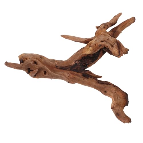 Toddmomy Dekoration Aquarium versunkenes Holz Aquarium-Holzdekoration Totholzdekor für Aquarien basteln bastelset Totholzhandwerk Aquarium-Dekor Rhododendron-Wurzel Ornamente hölzern von Toddmomy