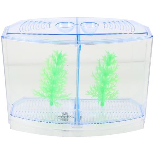 Toddmomy Betta-Aquarium Aquarium Mit Geteilten Fächern Kleines Fisch-Garnelen-Aufzuchtbecken Fisch-Inkubationsbox Für Insekten-Garnelen-Krabben von Toddmomy