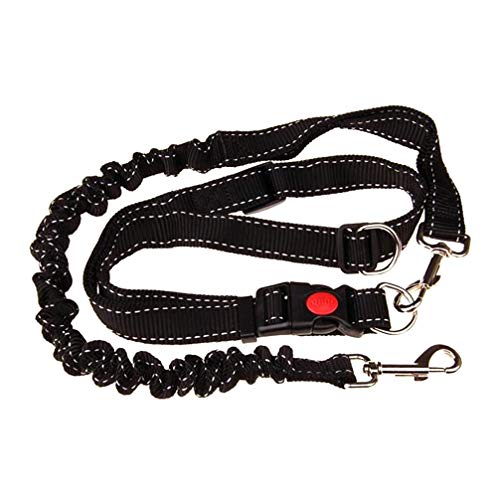 Toddmomy Dog Leash Wanderleine Für Hund 1 Stück Hundeleine Nylon Hund Training Leine Leichter Leine Katze Leine Treibungsseil zum Joggen Wandern Gehen Laufen Laufen Hundeleine Hüftgurt Flexileine von Toddmomy