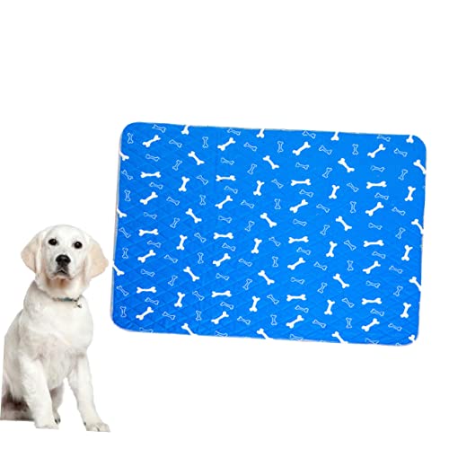 Toddmomy Haustier PIPI Matte Hunde PIPI Pads Haustier PIPI Pads Hunde Trainingsmatte Pads Für Haustiere von Toddmomy