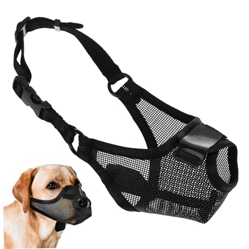 Toddmomy Hundemaske Netzmaulkorb Für Hunde Stinkend Hundespray Rindenhalsband Zahnpasta Für Hunde Maulkörbe Haustier-korrekturspray Für Hunde Hundeleine Hund Zahnbürste Black Polyester von Toddmomy