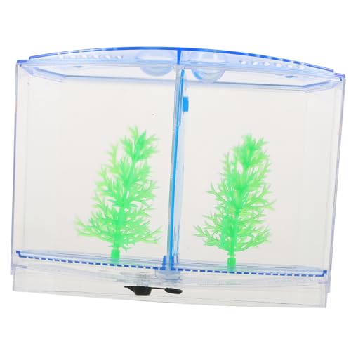 Toddmomy Fisch-isolationsbox Betta-Tank-inkubator Für Die Garnelenzucht Aquarium-fischzuchtbox Inkubation Herausnehmbare Trennwand von Toddmomy