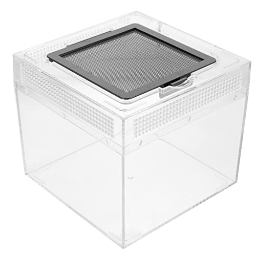 Toddmomy Kasten Transparente Reptilienbox Tarantel Tarantula -gehäuse Hasenkäfig Reptilien Inkubator Spinnen-Terrarium Hamsterbettwäsche Terrarienkäfig Raupe Terrarium Für Reptilien Aggreko von Toddmomy