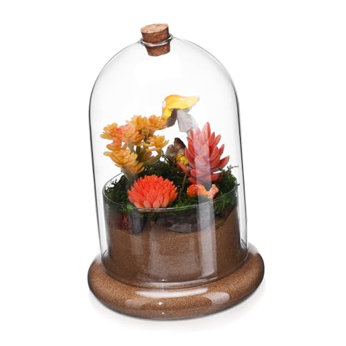 Toddmomy Mikrolandschaftsmoosbedeckung Glocke Pflanze Terrarium Kuppel Moos Landschaft Container Terrarientisch Mini Kuchenkuppeln Terrarium-kit Getrocknetes Moos Klare Displaykuppel Glas von Toddmomy