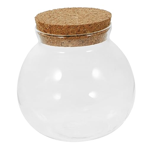 Toddmomy Landschafts-öko-Flasche Terrarium Korkdeckel Für Moos Und Wasserpflanzen Dekorativ Für Innen Und Außenbereiche Toddmomy Landschafts-öko-Flasche Terrarium Korkdeckel Für Moos Und Wasserpflanzen Dekorativ Für Innen Und Außenbereiche von Toddmomy