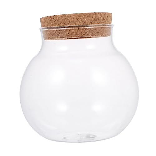 Toddmomy Kleines Moos-Pflanzen-Glas Kreative Mikrolandschaftsflasche Für Aquarien Und Tischdekoration Geeignet Für DIY-projekte Stilvolles Wohnaccessoire Toddmomy Kleines Moos-Pflanzen-Glas Kreative Mikrolandschaftsflasche Für Aquarien Und Tischdekoration Geeignet Für DIY-projekte Stilvolles Wohnaccessoire von Toddmomy