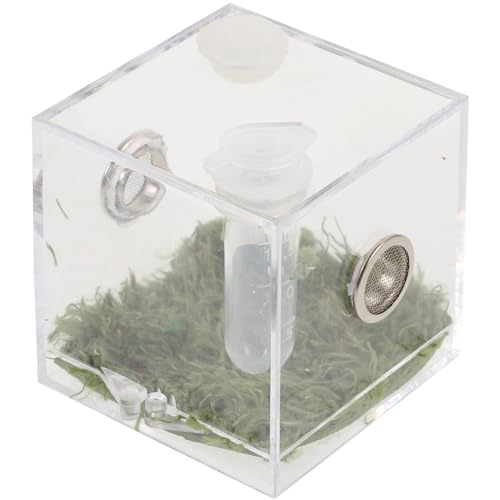 Toddmomy Reptilien-Aufzuchtbox Terrarium Acryl Springspinnekäfig Vogelspinne Futterbox Gehege Bartagamen-Gehäuse Insektenbeobachtungsbox Behälter Behälter Schildkröte Schlange Gecko von Toddmomy