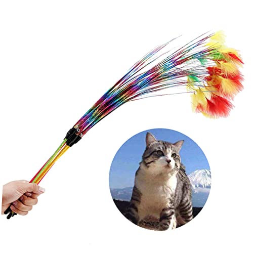 Toddmomy Teaser Federspielzeug interaktives katzenspielzeug Interactive cat Toy Funny Toys Katzen spielsachen cat Toys Katzen interaktiver Stick kätzchen bunter regenbogenstab von Toddmomy